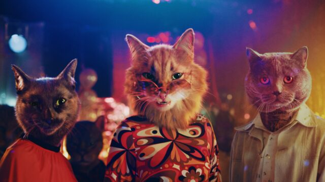 Go behind the Moving Image with MPC and Arm & Hammer’s Funky Felines